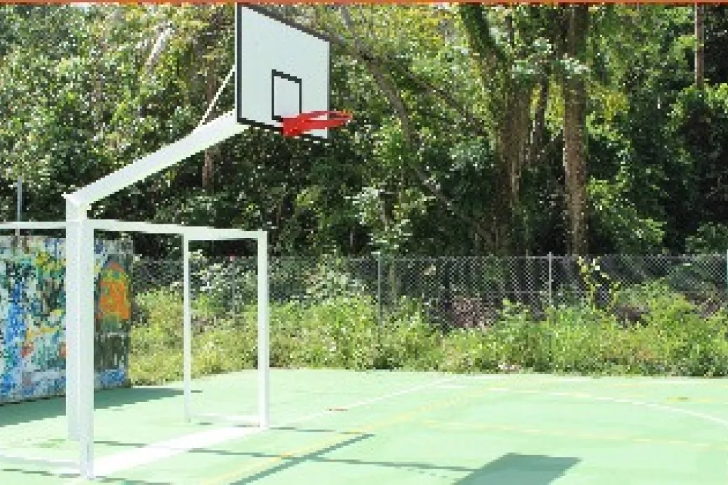 Terrain de basket et de volley du Centre