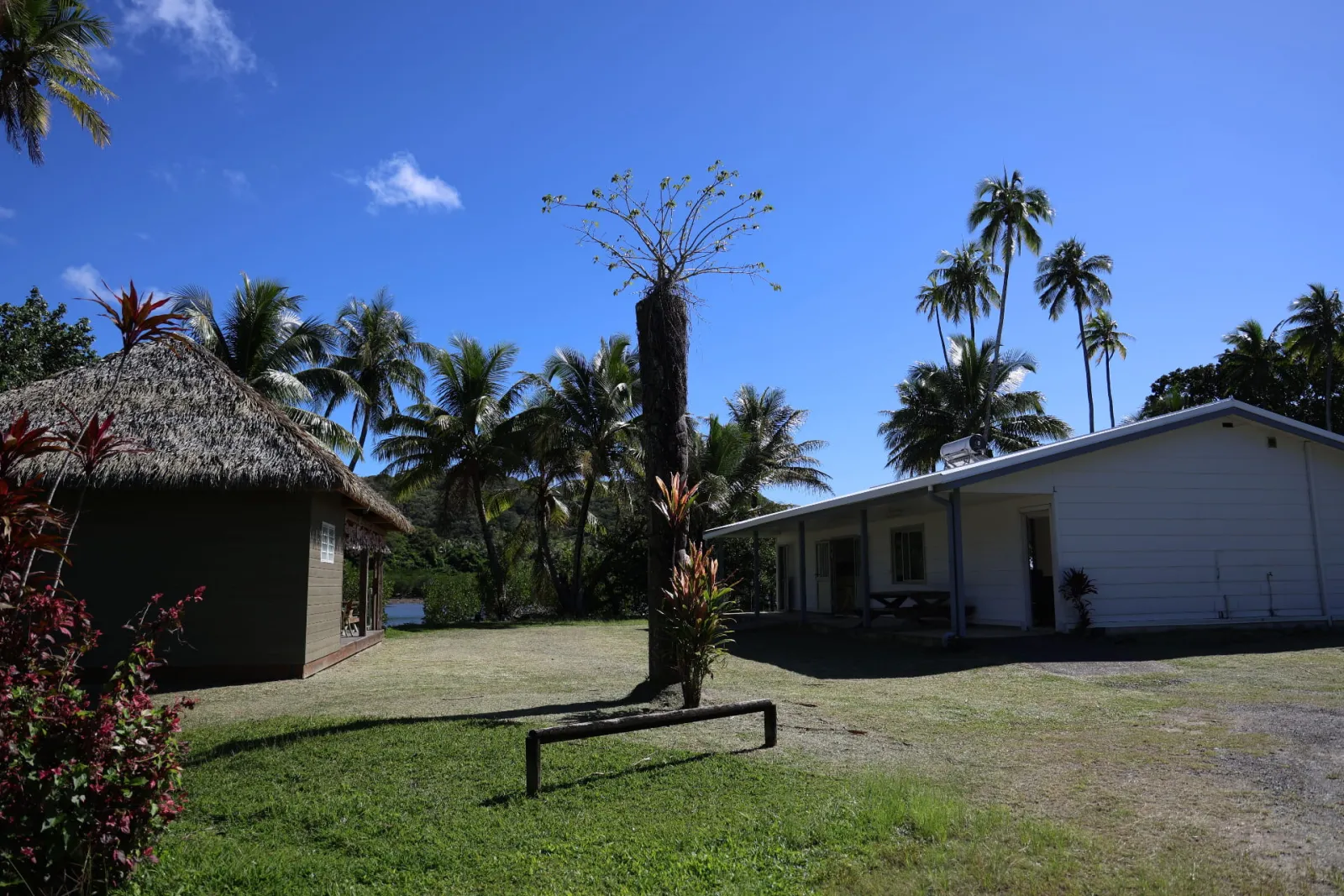 Bungalows du Centre dans un environnement arboré